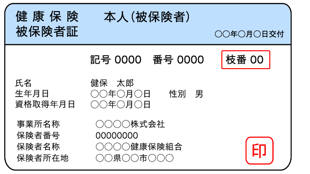 保険証 見本